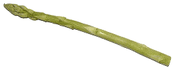 Grnspargel
