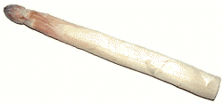 Violetter Spargel