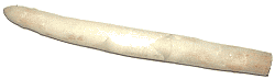 weier Spargel